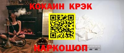 гашик Кингисепп