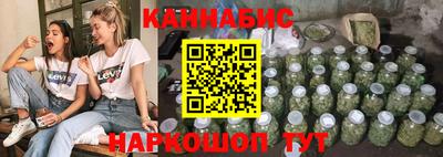 гашик Кингисепп