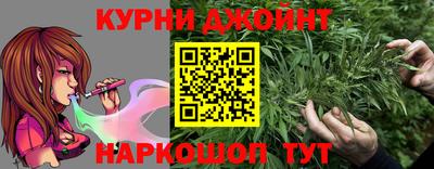 гашик Кингисепп
