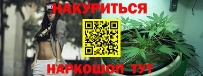 гашик Кингисепп