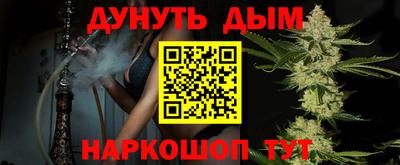 гашик Кингисепп
